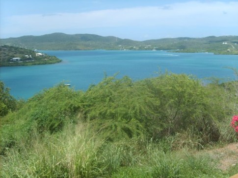 The bay in Cuelbra-the hurricane mangroves are across the water in the background